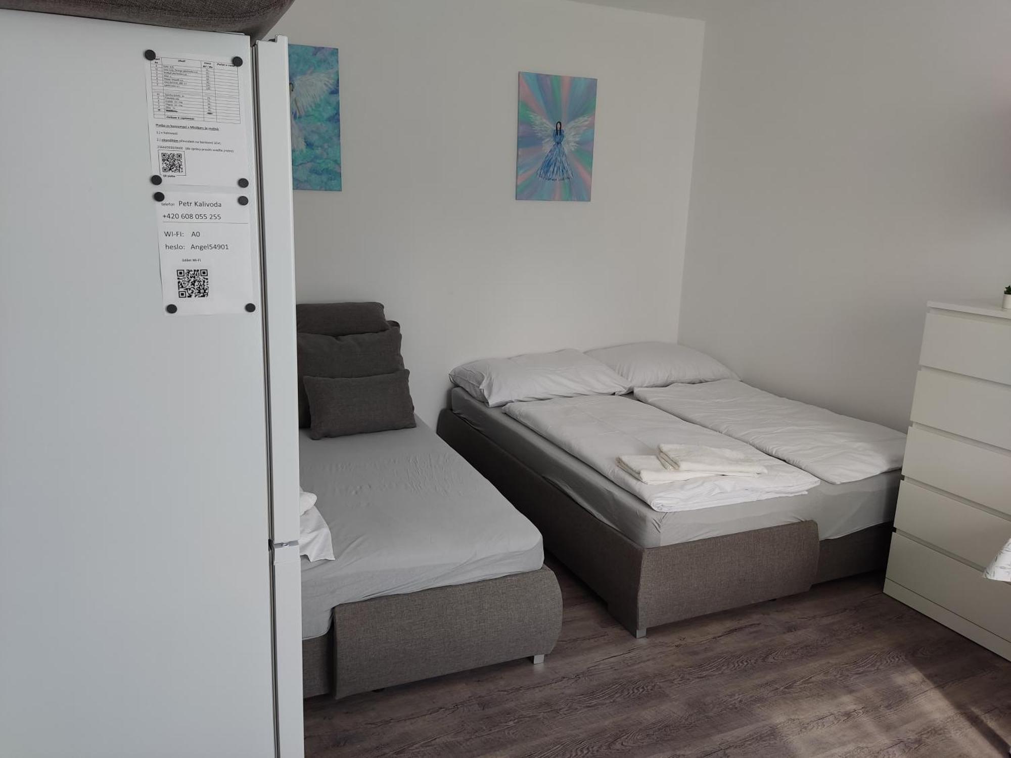 Angel Apartman Nové Město nad Metují 外观 照片